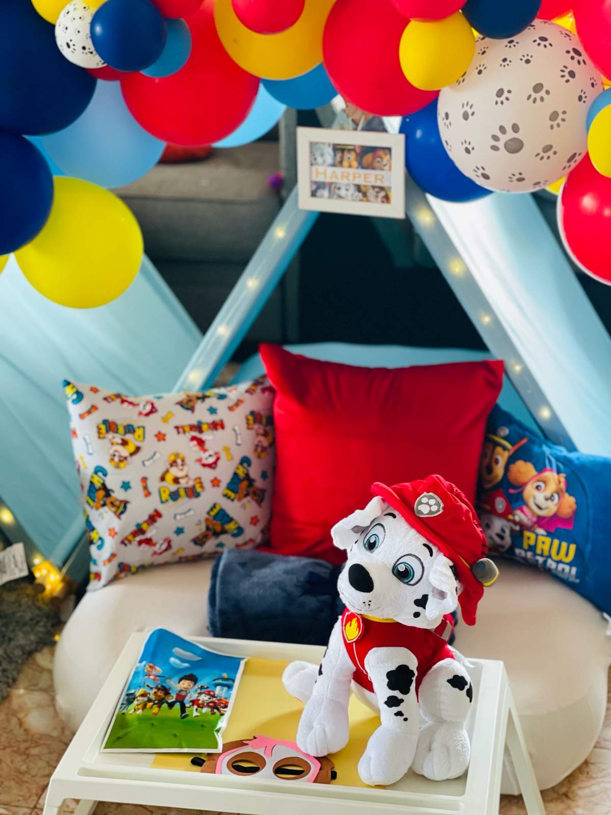 Paw patrol sleepover party